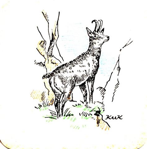 weisenbach ra-bw katz tiere quad 2a (185-gemse)